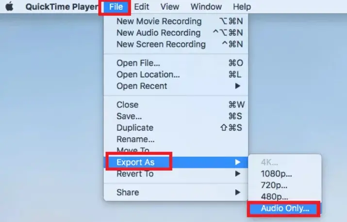 Export Audio Only